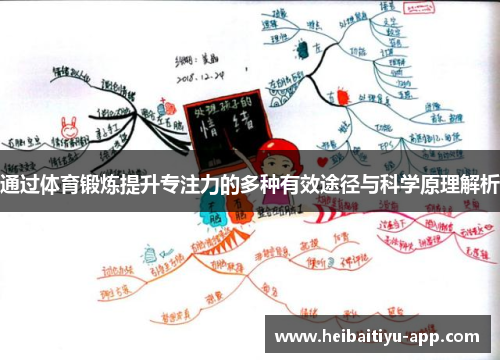 通过体育锻炼提升专注力的多种有效途径与科学原理解析